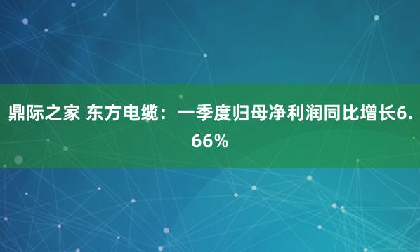 鼎际之家 东方电缆：一季度归母净利润同比增长6.66%