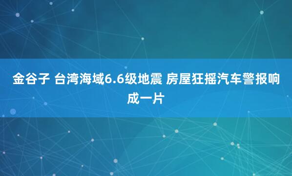 金谷子 台湾海域6.6级地震 房屋狂摇汽车警报响成一片