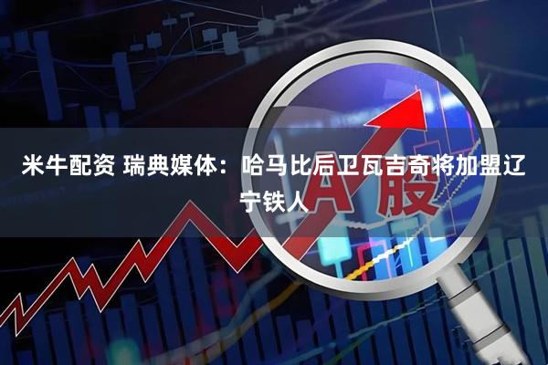 米牛配资 瑞典媒体：哈马比后卫瓦吉奇将加盟辽宁铁人